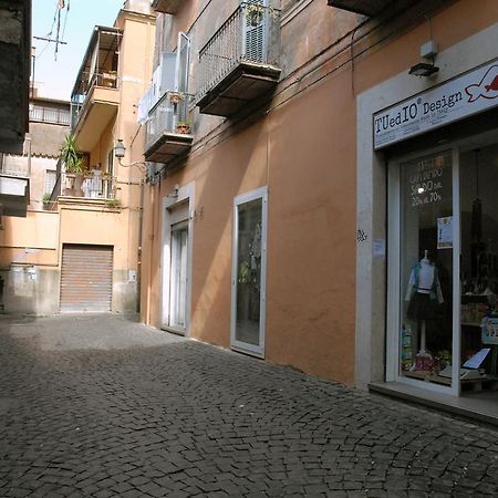 Villa Loft 17 Albano Laziale Esterno foto